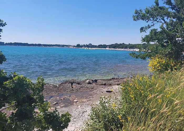 Apartamento Rosa Medulin